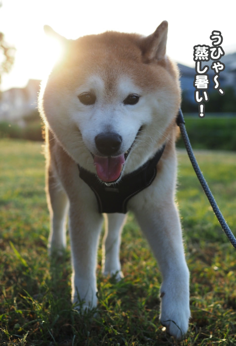 2日夕ブログ４