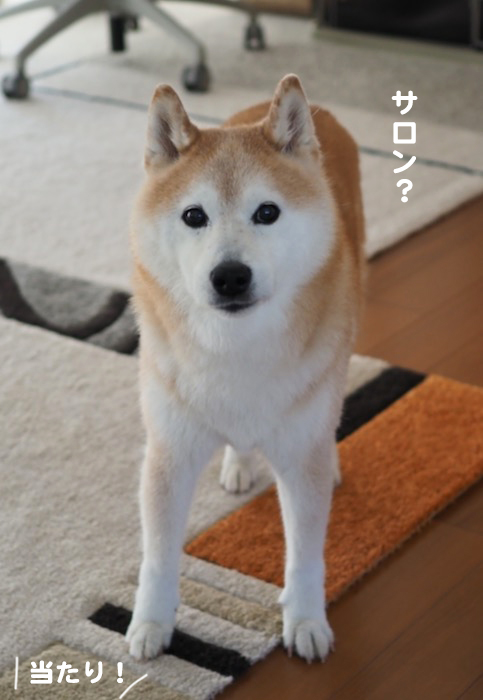 13日の夕ブログ４