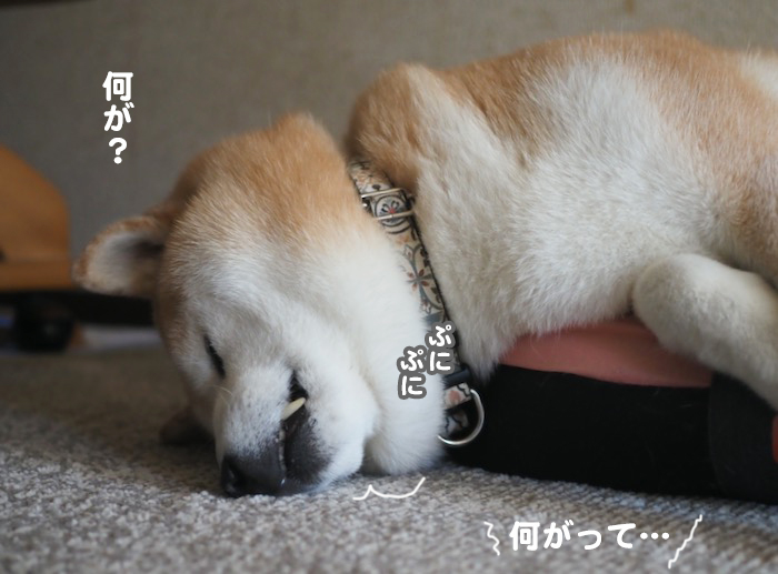 8日夕ブログ３
