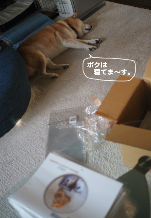 5日夕ブログ２