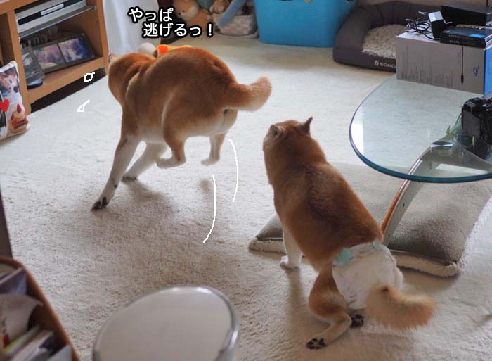 28日夜ブログ１５