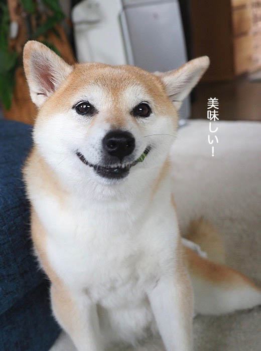 13日ブログ８