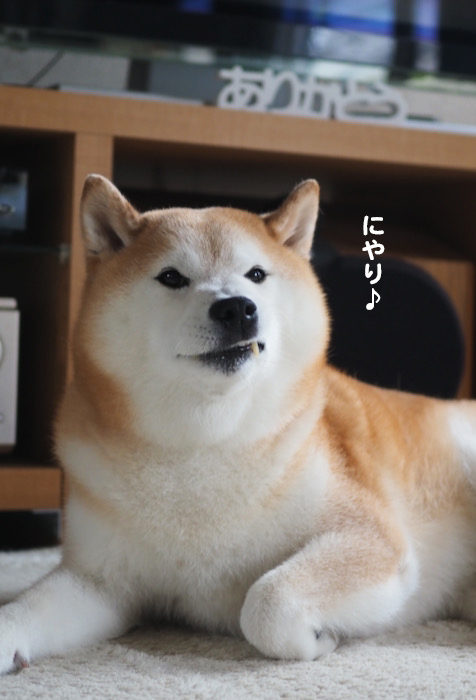 17日ブログ４