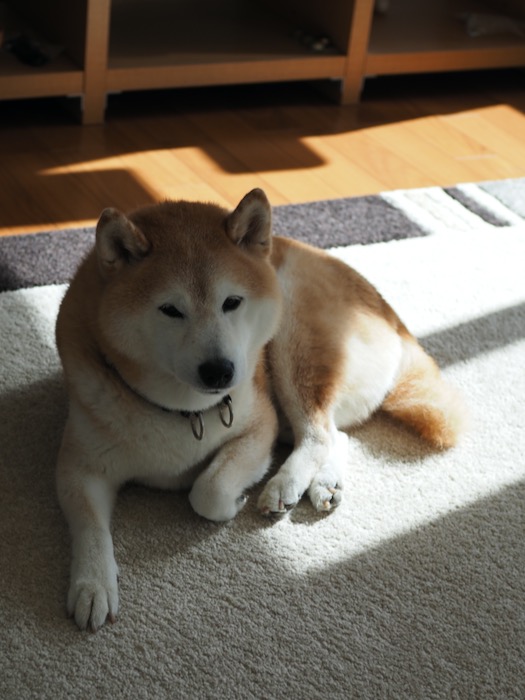 9日ブログ１