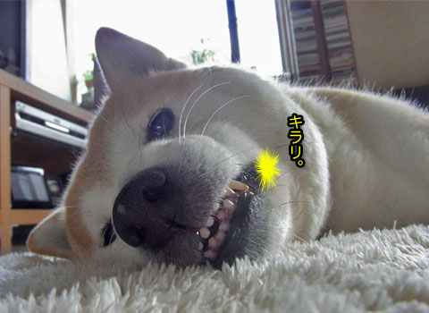 29日ブログ2.jpg