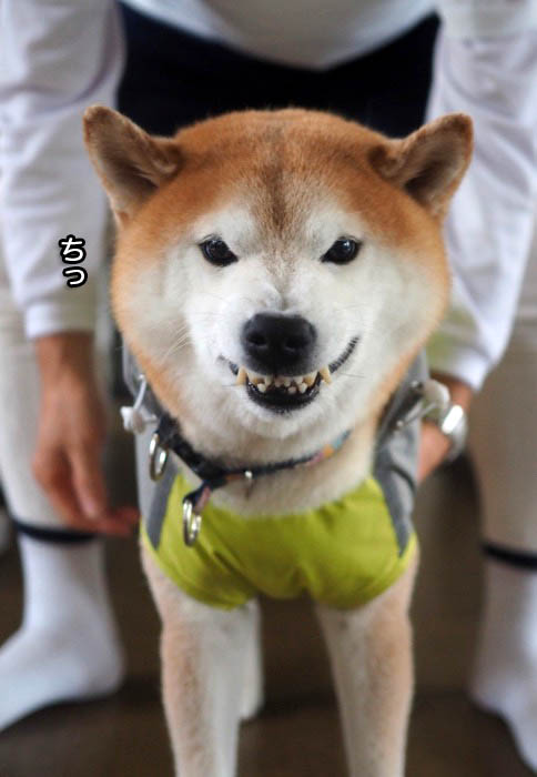 12日ブログ２