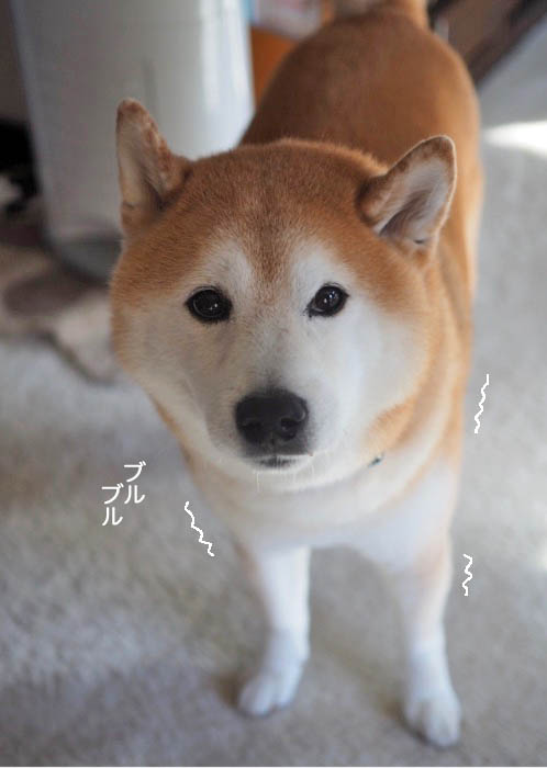 26日ブログ５