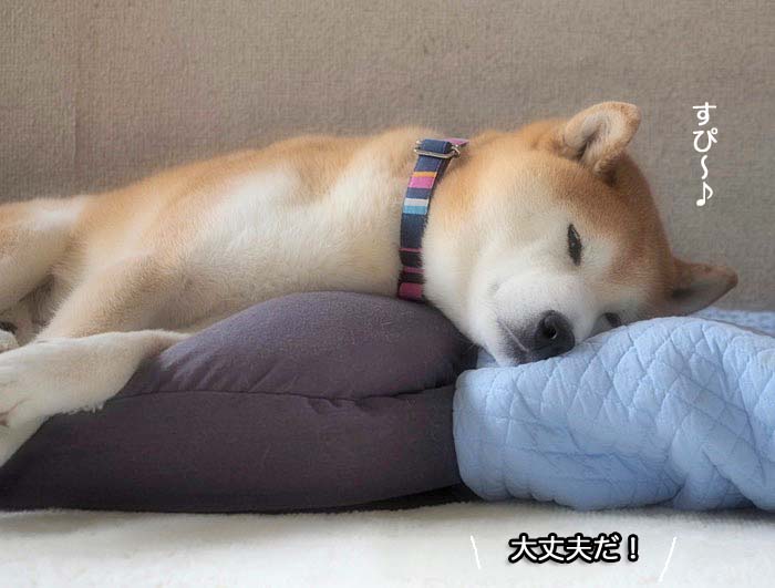 7日ブログ５