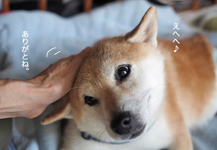 5日夜ブログ５