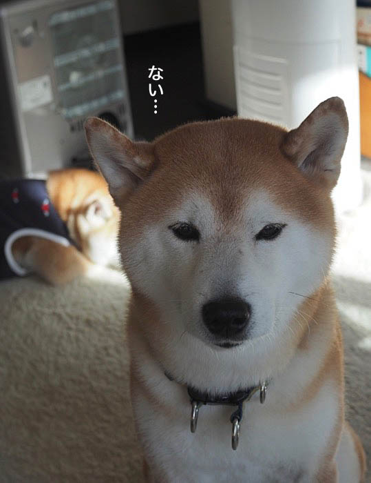 1日ブログ５