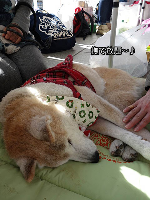 23日ブログ10