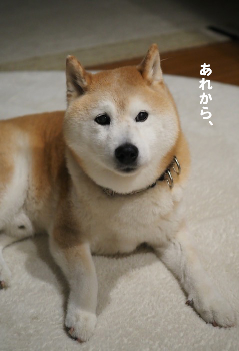 25日夕ブログ４
