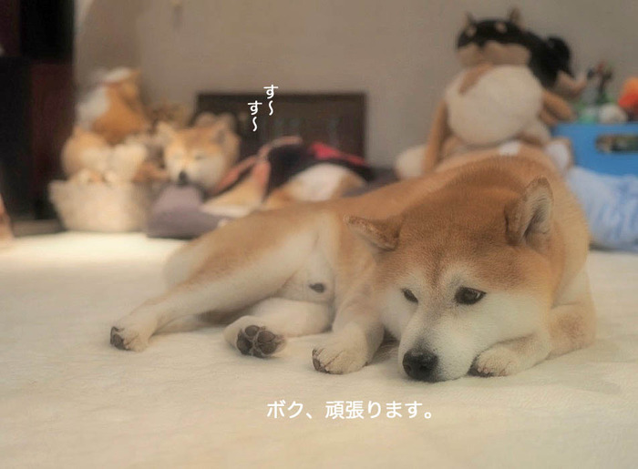 13日夜ブログ2
