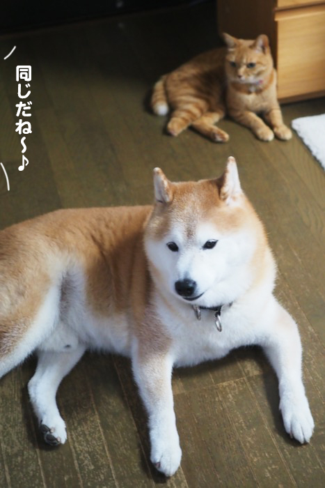 27日ブログ２