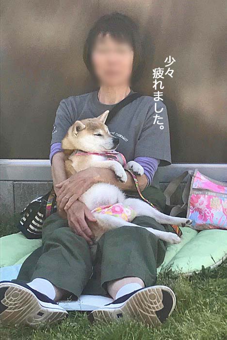 20日ブログ１１