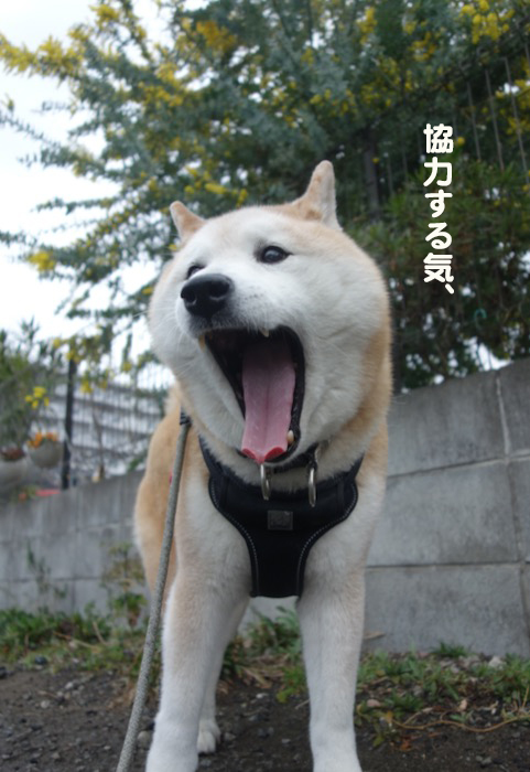 12日ブログ５