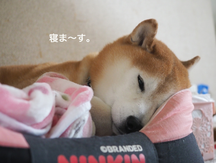 9日ブログ６