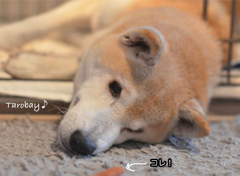 26日ブログ４.jpg