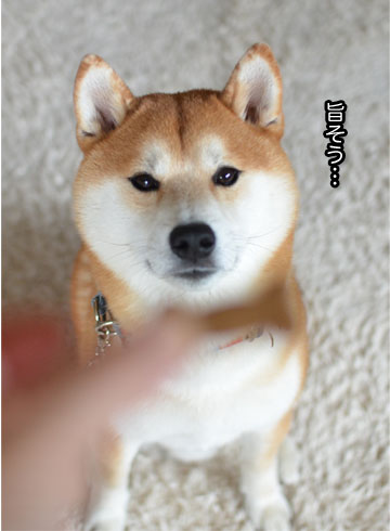 30日ブログ4.jpg