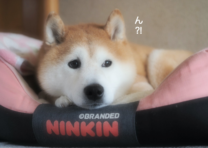 1日夜ブログ５