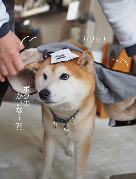 31日午後ブログ7