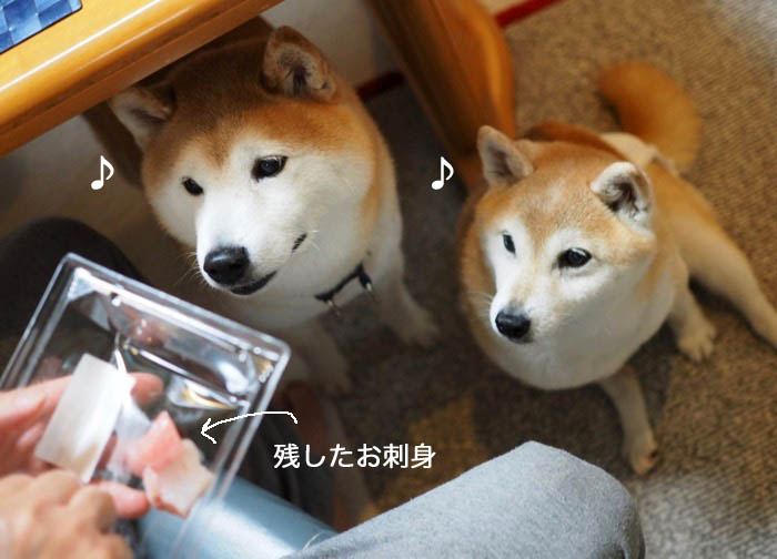 23日夜ブログ５