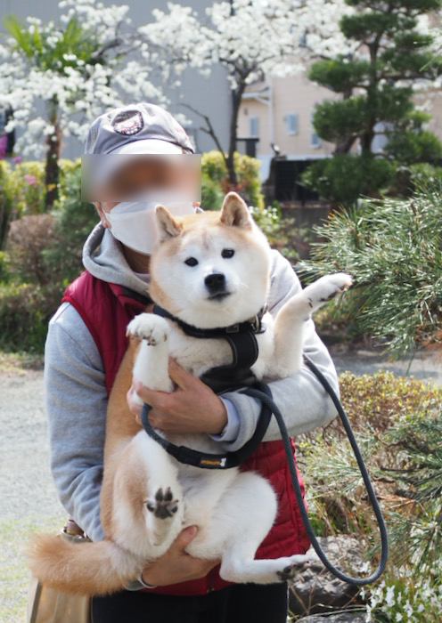 8日夕ブログ５