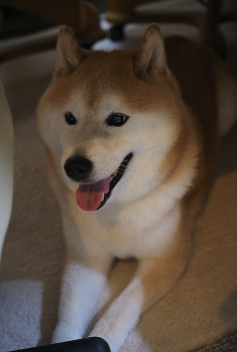 22日夜ブログ６
