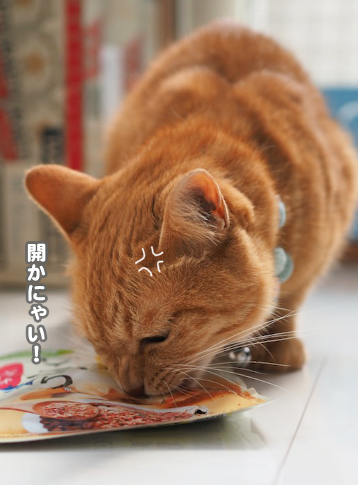 15日夕ブログ９