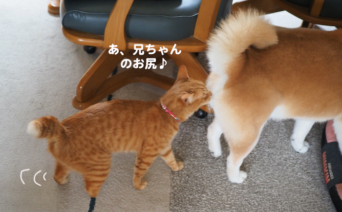 8日夕ブログ２