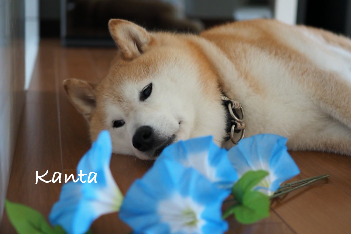 18日午前ブログ２