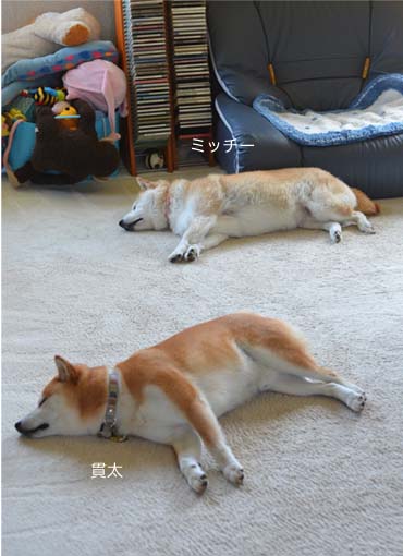 7日ブログ3.jpg