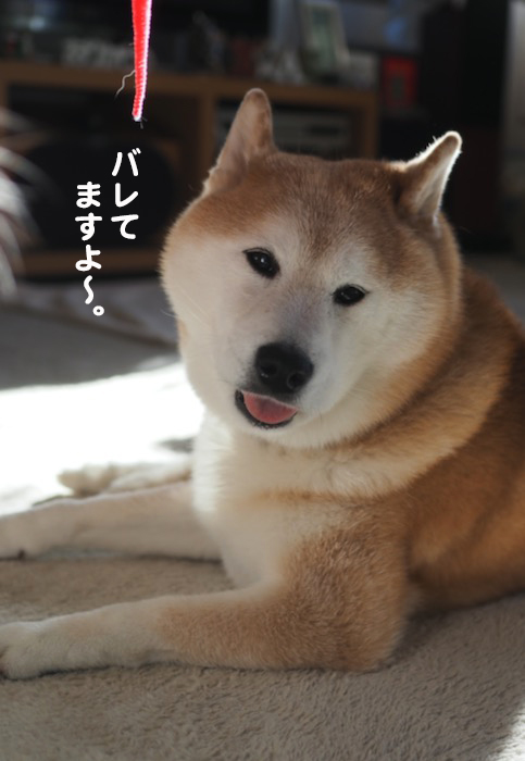 23日ブログ３