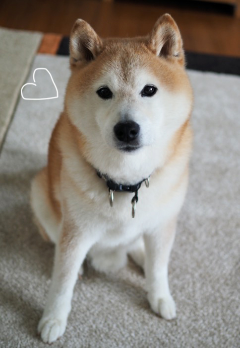 24日ブログ２