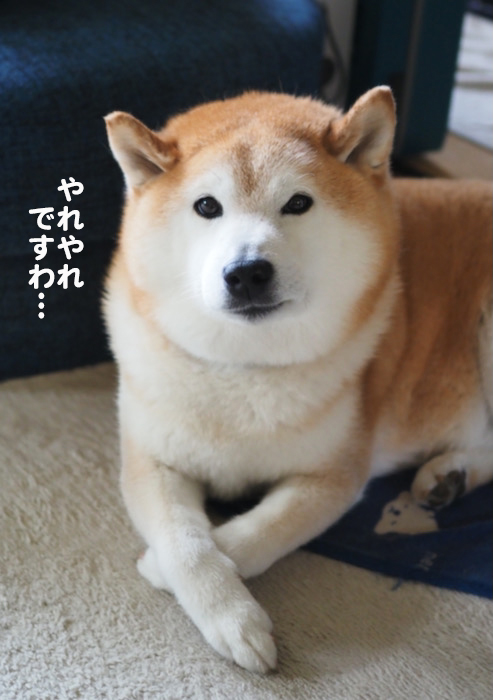 7日午後ブログ８