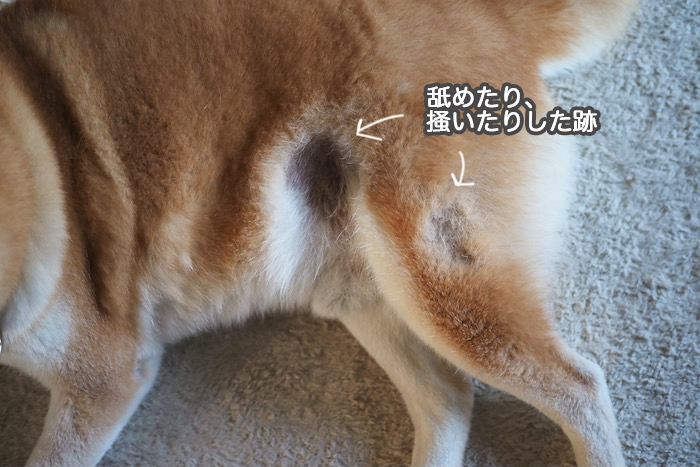 9日夜ブログ４