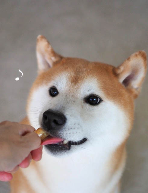 15日ブログ6