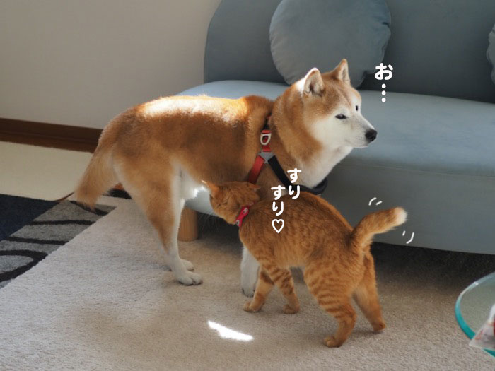 15日夕ブログ４