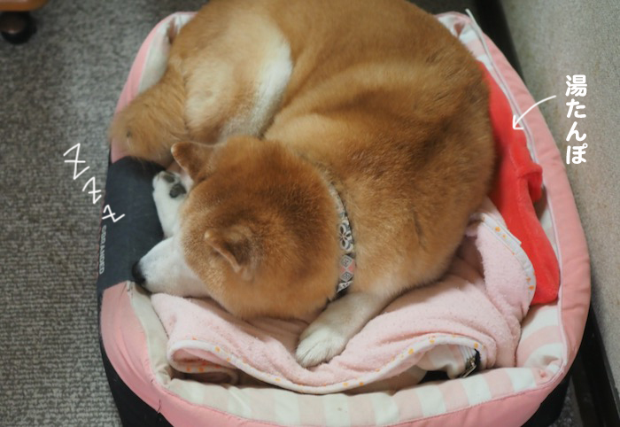 27日夕ブログ３
