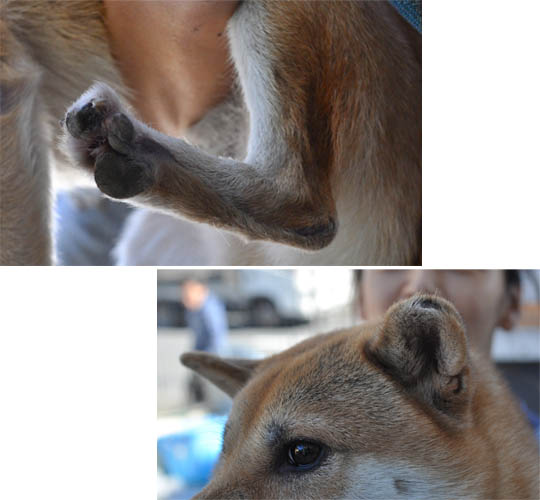 29日ブログ6.jpg