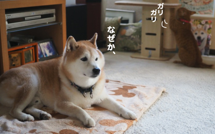 17日ブログ3