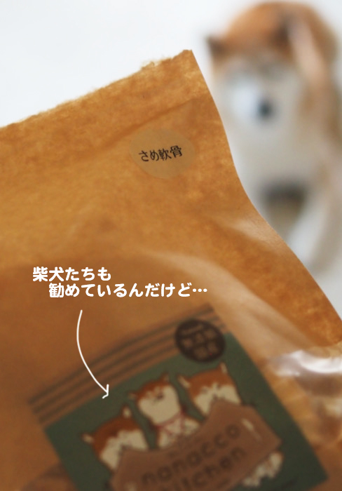 10日ブログ１２