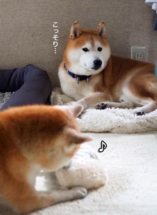 12日ブログ８