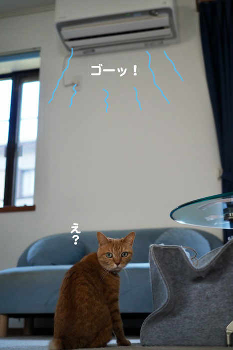 28日夕ブログ２