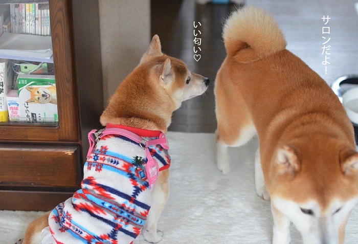 17日夜ブログ5