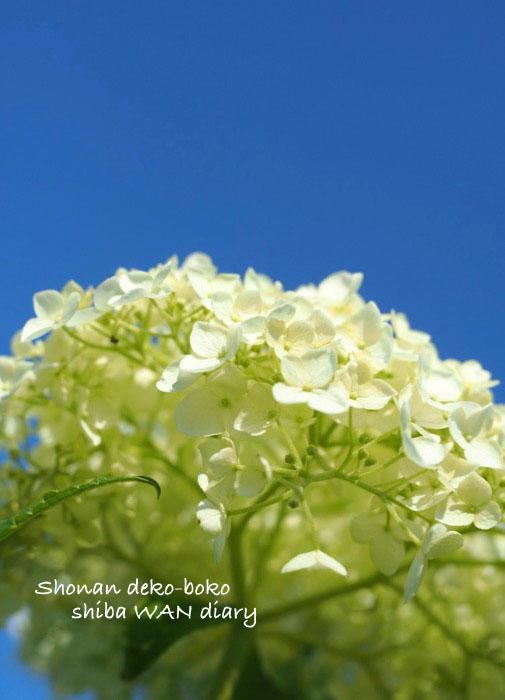 18日朝ブログ１