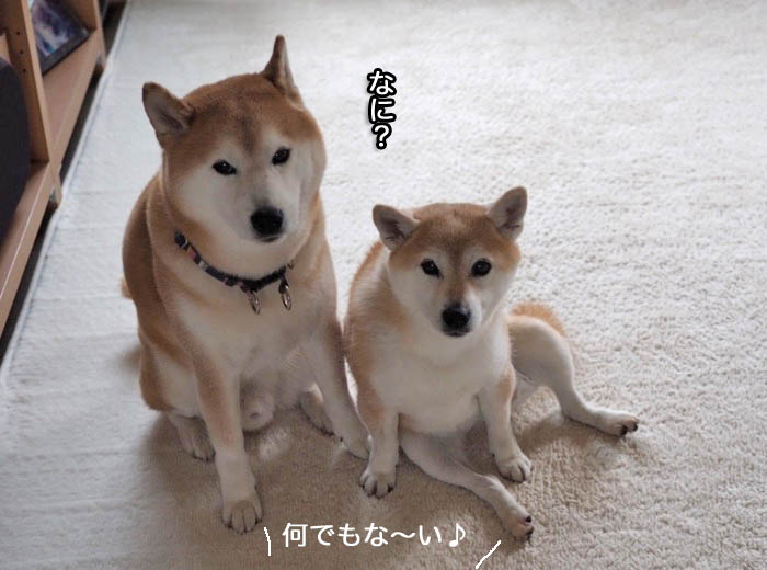 28日ブログ４