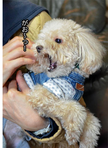 29日ブログ7.jpg