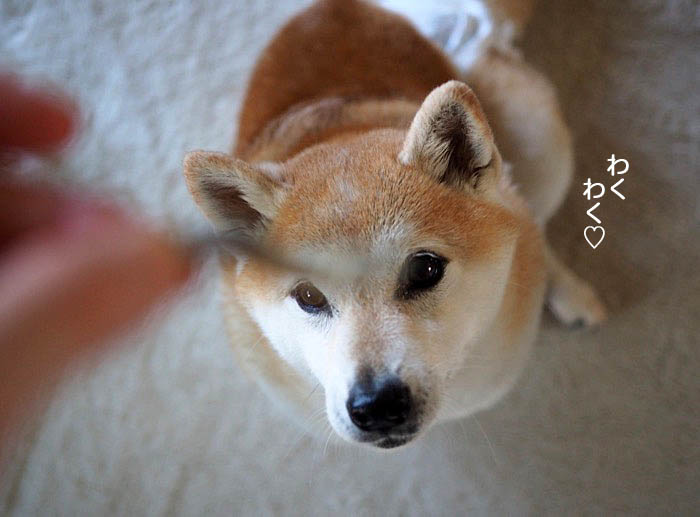 3日午後ブログ３