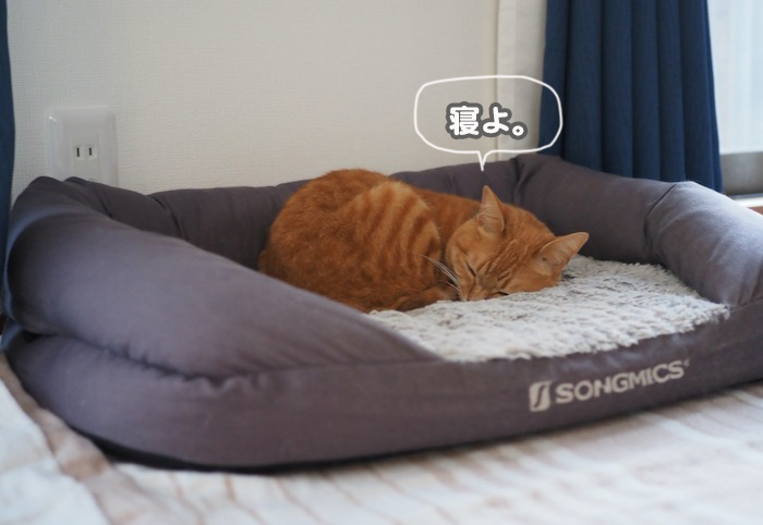12日夕ブログ１２